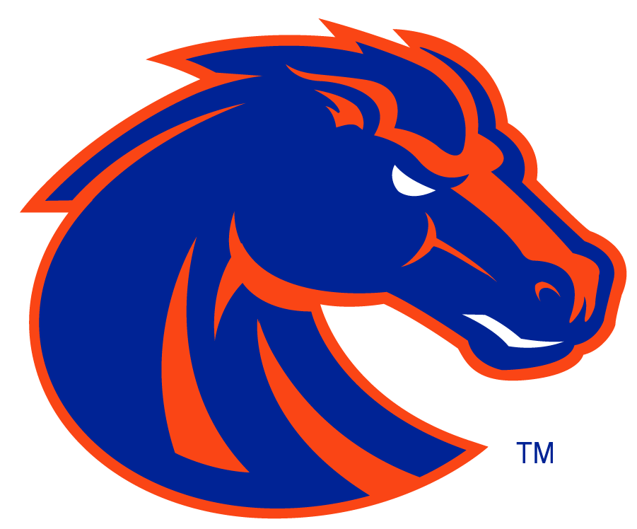 Boise State Broncos 2002-2012 Secondary Logo v6 diy DTF decal sticker